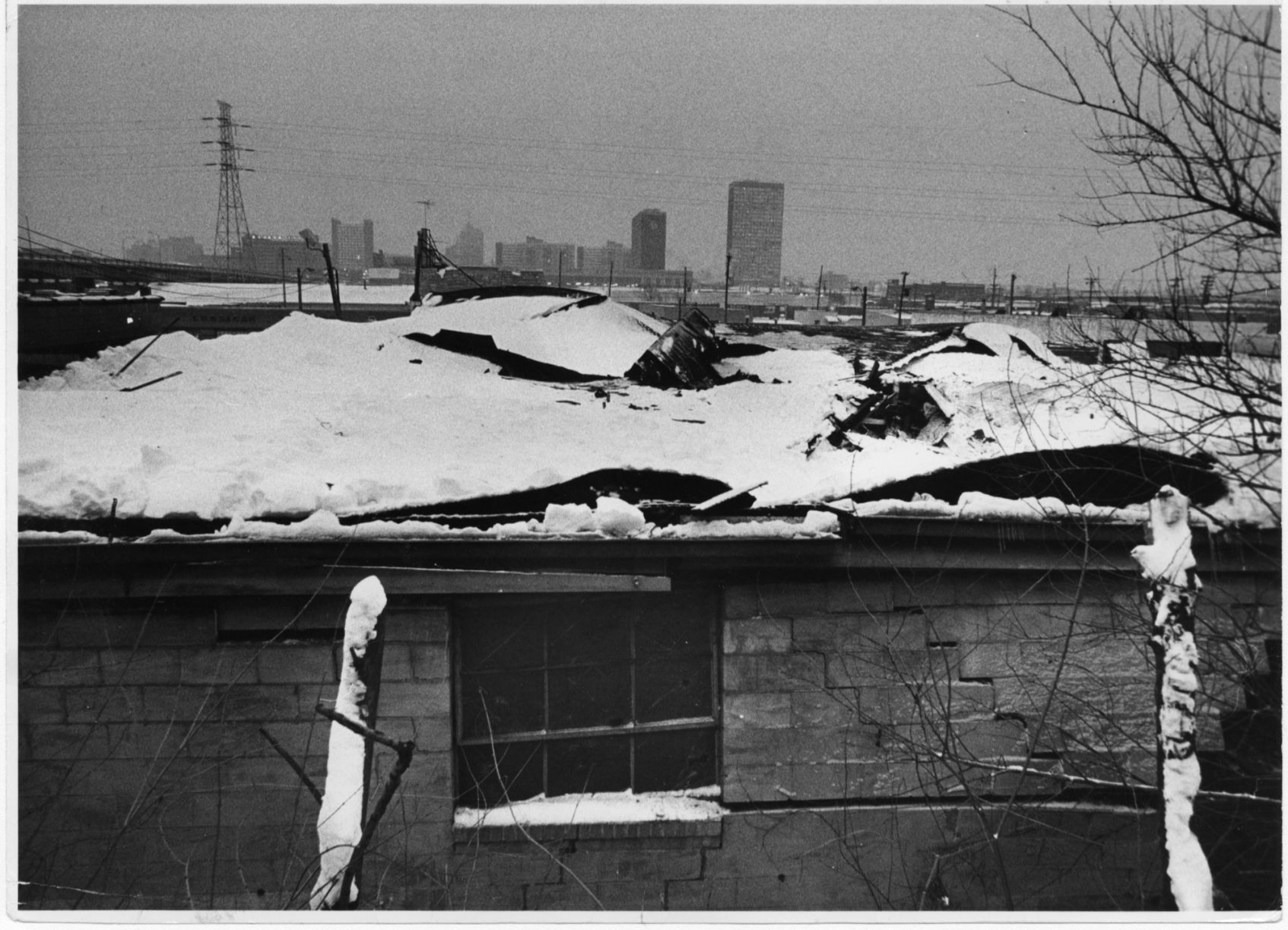 The blizzard of 1982
